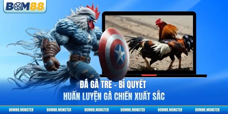 Đá Gà Tre - Bí Quyết Huấn Luyện Gà Chiến Xuất Sắc 3 Đá Gà Tre - Bí Quyết Huấn Luyện Gà Chiến Xuất Sắc