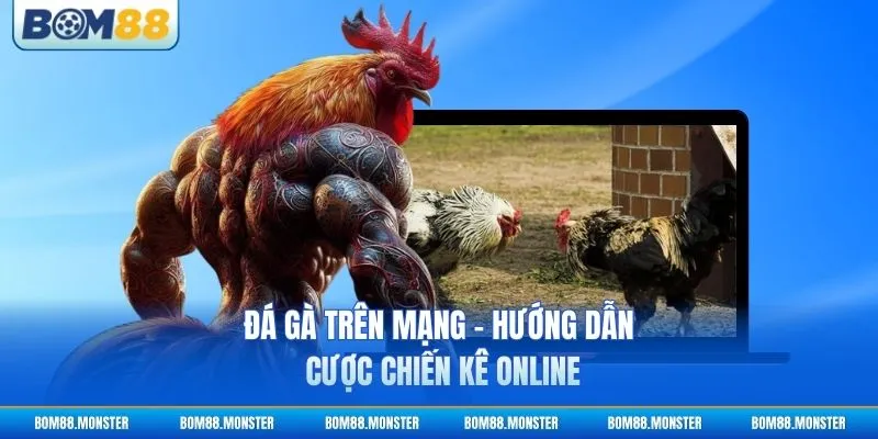 Đá Gà Trên Mạng - Hướng Dẫn Cược Chiến Kê Online 2 Đá Gà Trên Mạng - Hướng Dẫn Cược Chiến Kê Online