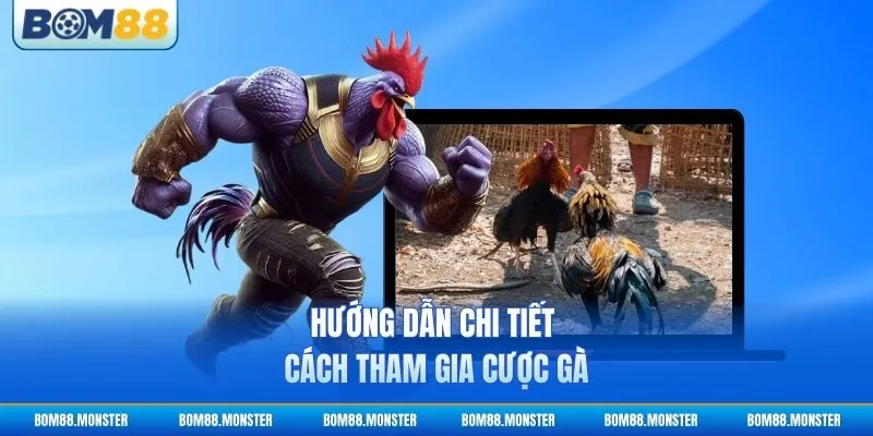 Hướng dẫn chi tiết cách tham gia cược gà