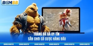 Trang Đá Gà Uy Tín - Sân Chơi Cá Cược Hàng Đầu